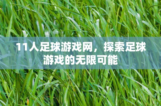 11人足球游戏网，探索足球游戏的无限可能