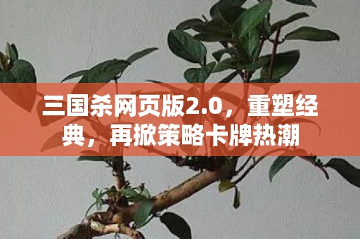 三国杀网页版2.0，重塑经典，再掀策略卡牌热潮