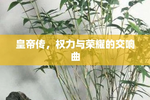 皇帝传，权力与荣耀的交响曲