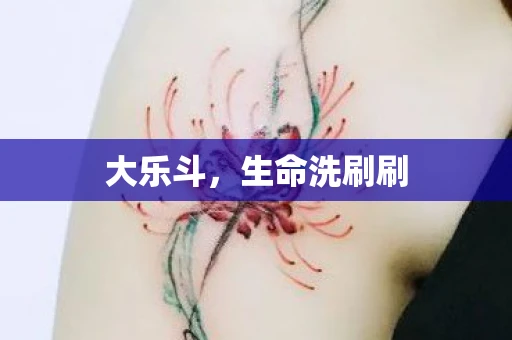 大乐斗，生命洗刷刷