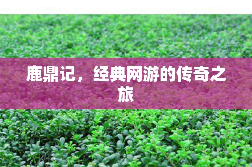 鹿鼎记，经典网游的传奇之旅