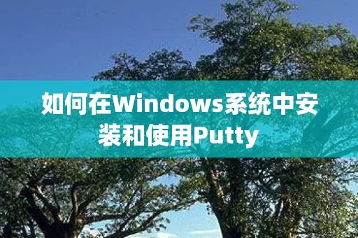 如何在Windows系统中安装和使用Putty图片
