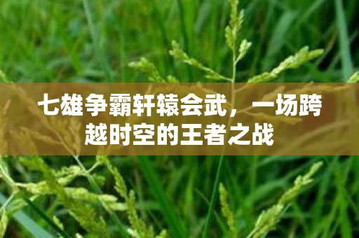 七雄争霸轩辕会武，一场跨越时空的王者之战