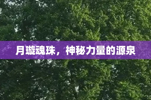 月璇魂珠，神秘力量的源泉