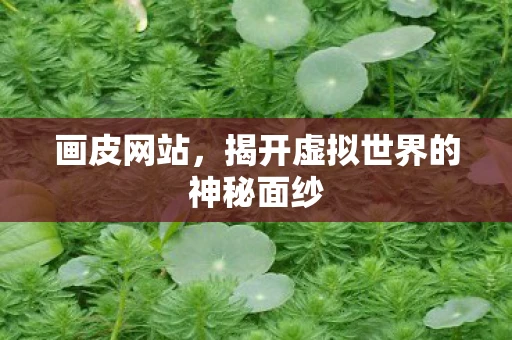 画皮网站，揭开虚拟世界的神秘面纱