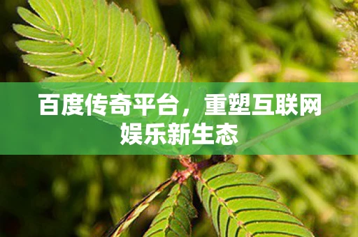 百度传奇平台，重塑互联网娱乐新生态