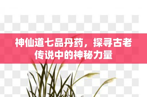 神仙道七品丹药，探寻古老传说中的神秘力量