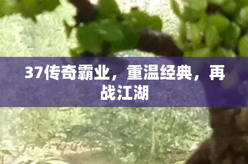 37传奇霸业，重温经典，再战江湖