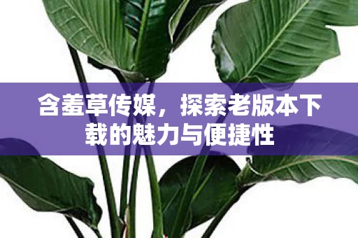 探索老版本下载的魅力与便捷性图片