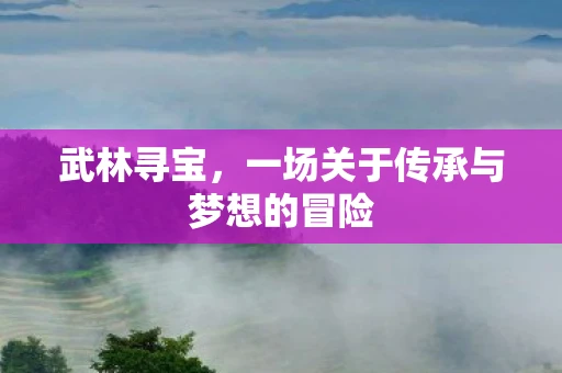 武林寻宝，一场关于传承与梦想的冒险