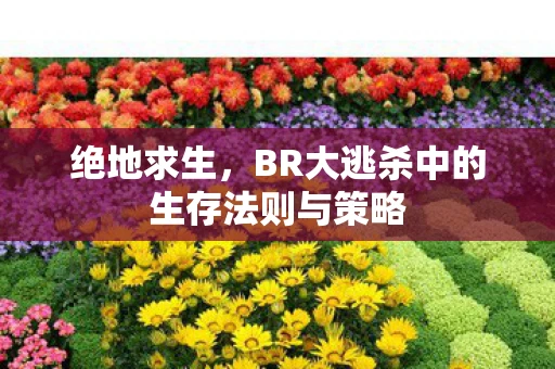 绝地求生，BR大逃杀中的生存法则与策略