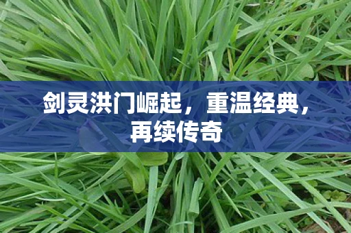 剑灵洪门崛起，重温经典，再续传奇