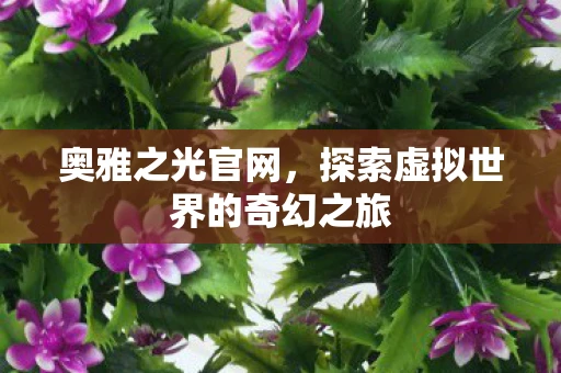 奥雅之光官网，探索虚拟世界的奇幻之旅