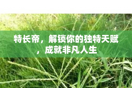 特长帝，解锁你的独特天赋，成就非凡人生