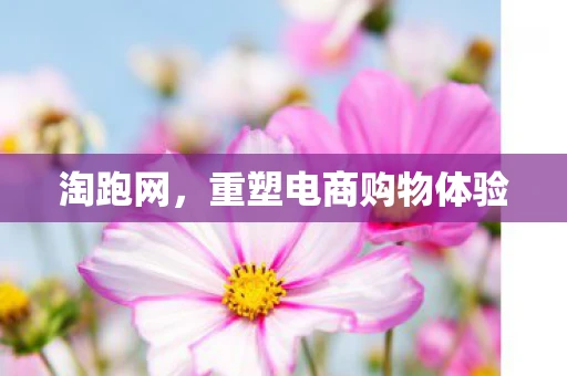 淘跑网，重塑电商购物体验