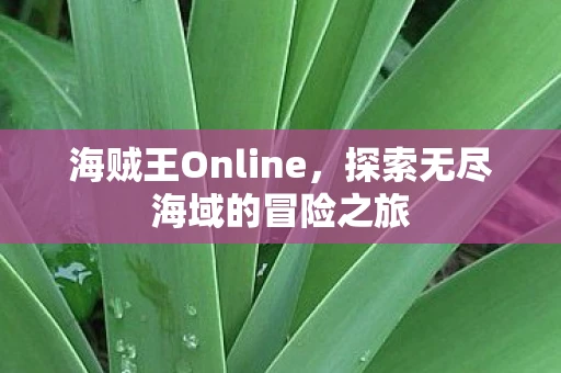 海贼王Online，探索无尽海域的冒险之旅