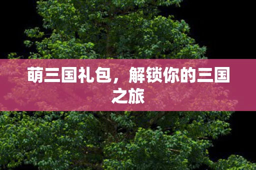 萌三国礼包，解锁你的三国之旅