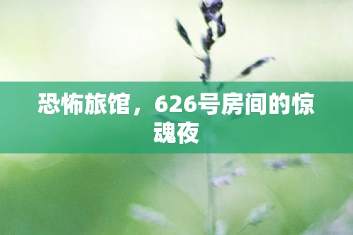 恐怖旅馆，626号房间的惊魂夜