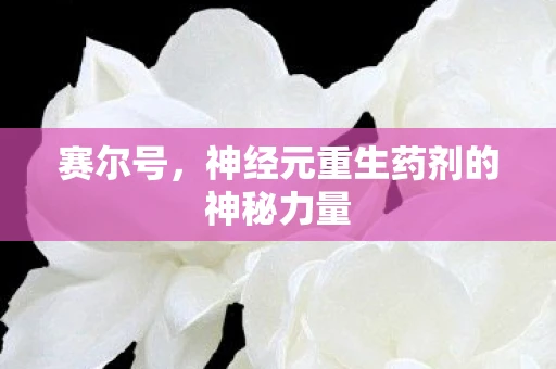 赛尔号，神经元重生药剂的神秘力量