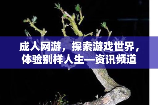 探索游戏世界图片