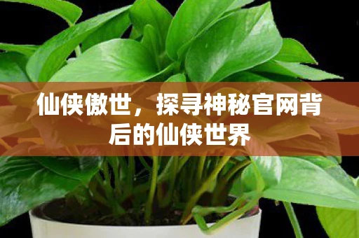 仙侠傲世，探寻神秘官网背后的仙侠世界