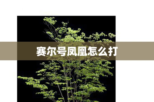 赛尔号凤凰怎么打