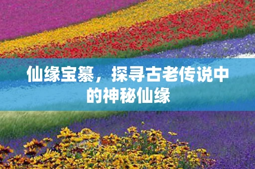 仙缘宝纂，探寻古老传说中的神秘仙缘
