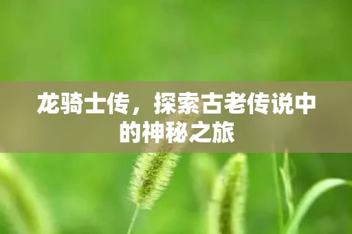 龙骑士传，探索古老传说中的神秘之旅
