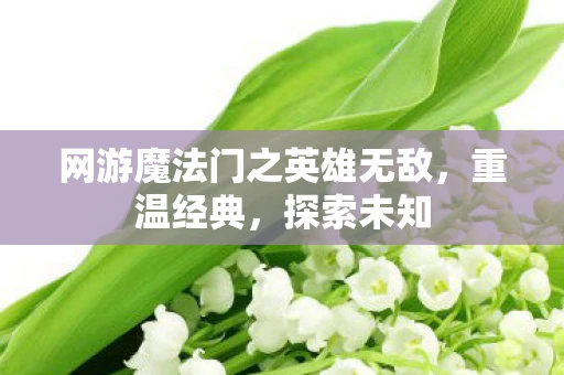 网游魔法门之英雄无敌，重温经典，探索未知