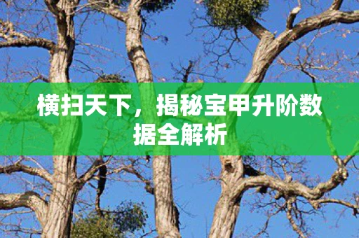 横扫天下，揭秘宝甲升阶数据全解析