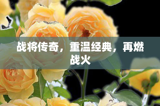 战将传奇，重温经典，再燃战火