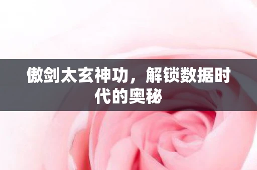 傲剑太玄神功，解锁数据时代的奥秘