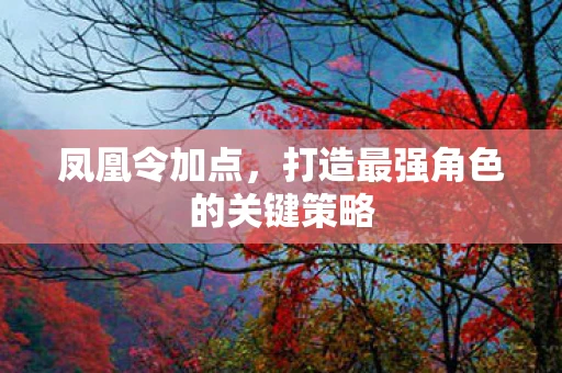 凤凰令加点，打造最强角色的关键策略