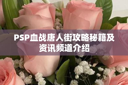PSP血战唐人街攻略秘籍及资讯频道介绍图片
