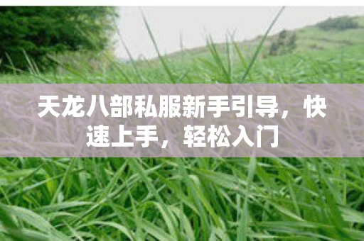 天龙八部私服新手引导，快速上手，轻松入门