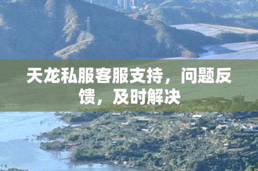 天龙私服客服支持，问题反馈，及时解决