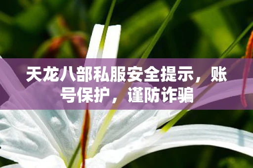 天龙八部私服安全提示，账号保护，谨防诈骗
