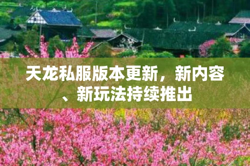 天龙私服版本更新，新内容、新玩法持续推出