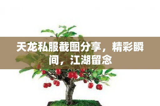 天龙私服截图分享，精彩瞬间，江湖留念