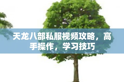 天龙八部私服视频攻略，高手操作，学习技巧