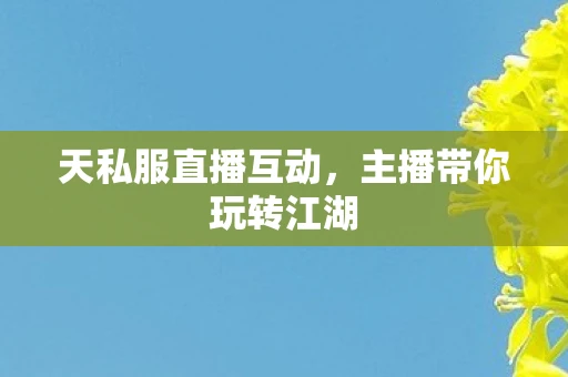 天私服直播互动，主播带你玩转江湖