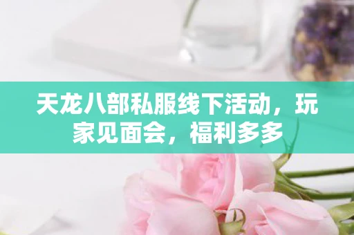 天龙八部私服线下活动，玩家见面会，福利多多