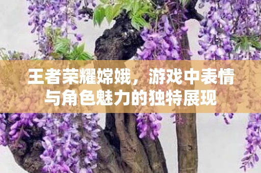 游戏中表情与角色魅力的独特展现图片