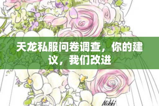 天龙私服问卷调查，你的建议，我们改进
