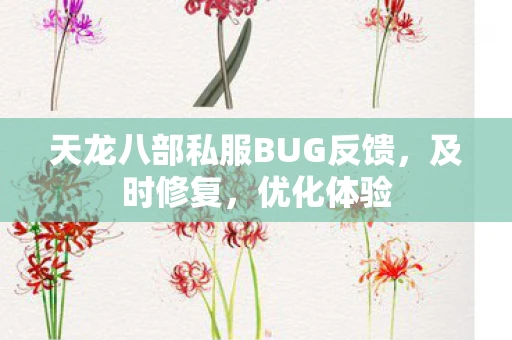 天龙八部私服BUG反馈，及时修复，优化体验