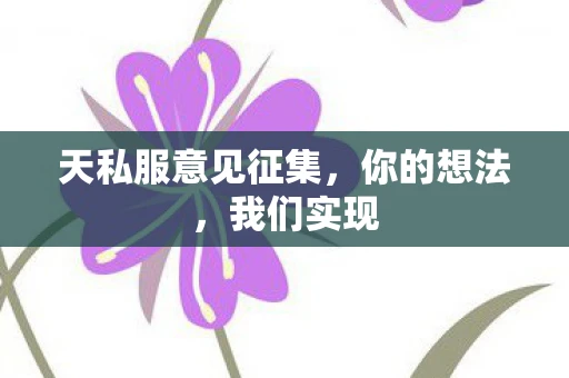 天私服意见征集，你的想法，我们实现