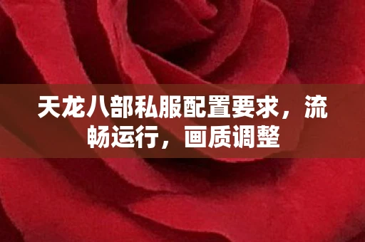 天龙八部私服配置要求，流畅运行，画质调整