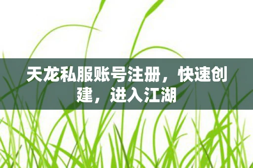天龙私服账号注册，快速创建，进入江湖