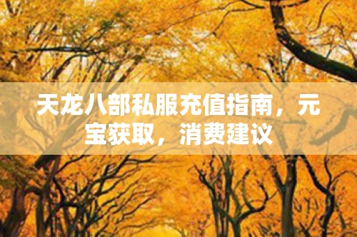 天龙八部私服充值指南，元宝获取，消费建议