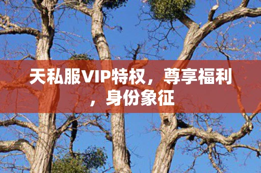天私服VIP特权，尊享福利，身份象征